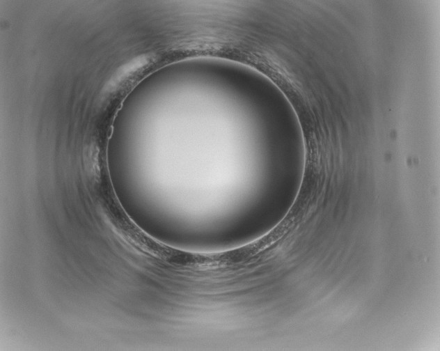 X0000073900692200608111130