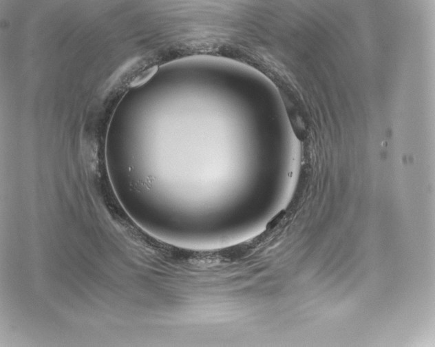 X0000073900693200608111130