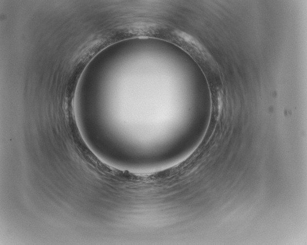 X0000073900696200608111130