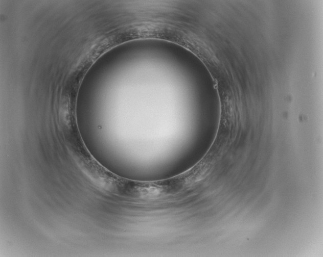 X0000073900698200608111130