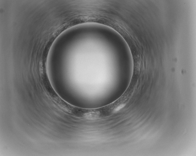 X0000073900700200608111130