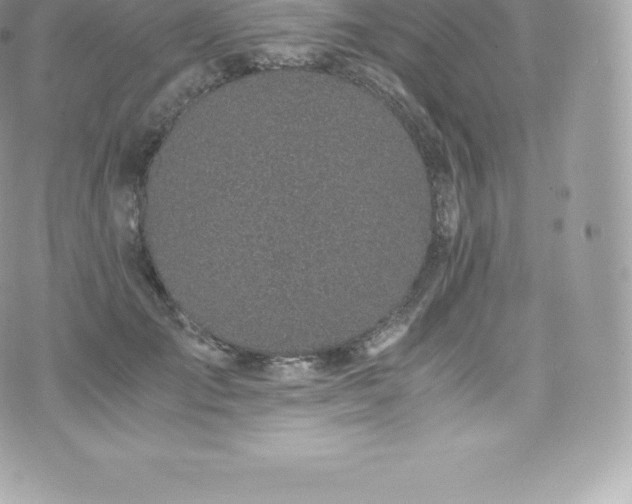 X0000073900701200608111130