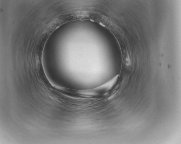 X0000073900704200608111130