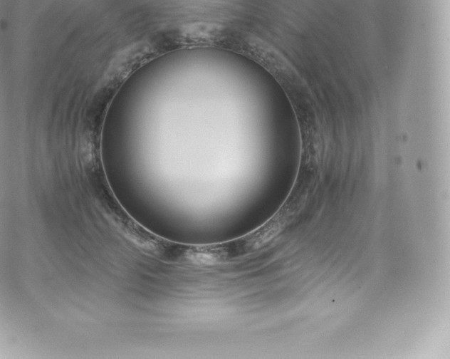 X0000073900706200608111130