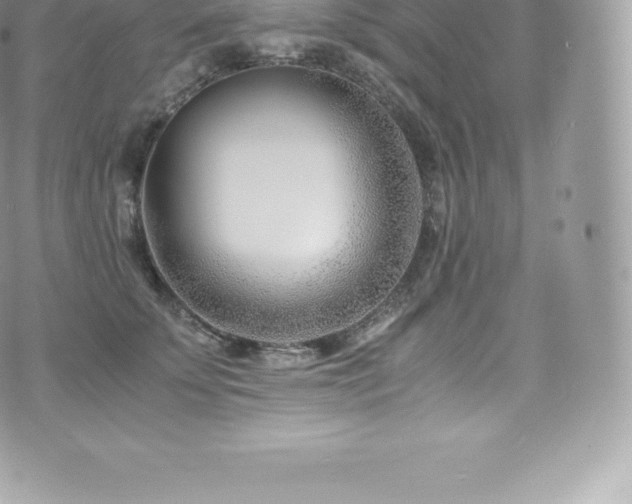 X0000073900707200608111130