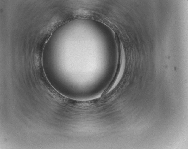 X0000073900708200608111130