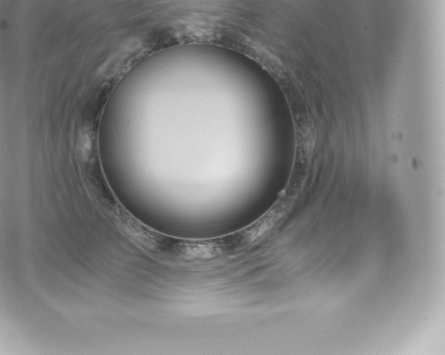 X0000073900709200608111130