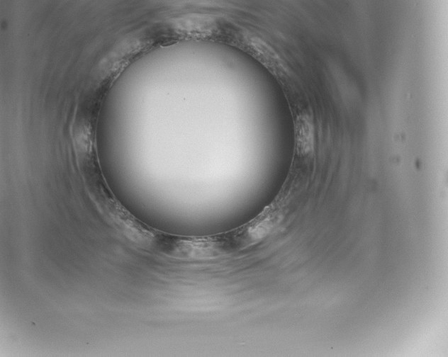 X0000073900713200608111130