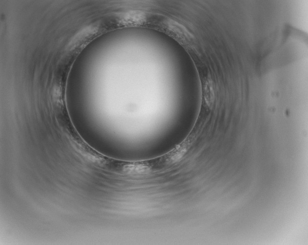 X0000073900714200608111130