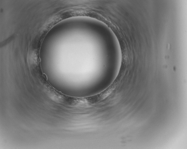 X0000073900715200608111130