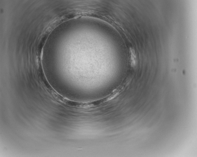 X0000073900716200608111130