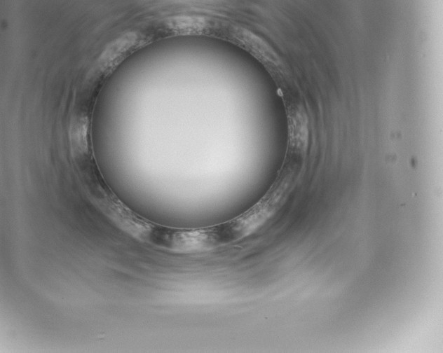 X0000073900717200608111130