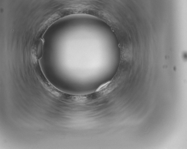 X0000073900719200608111130