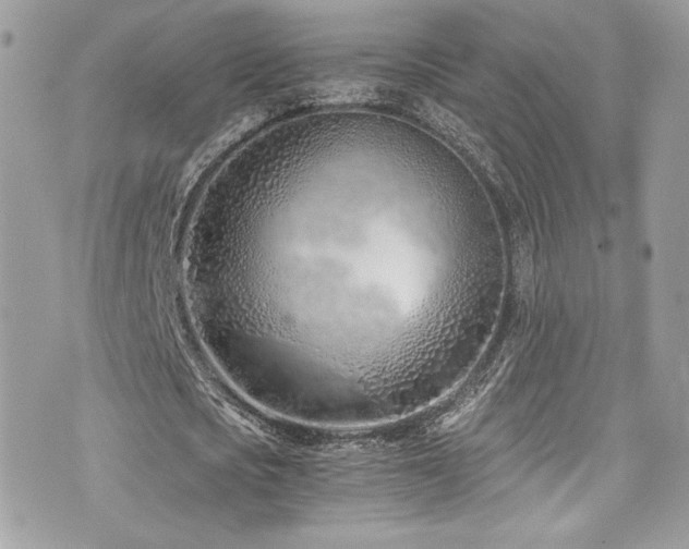 X0000073900721200608111129