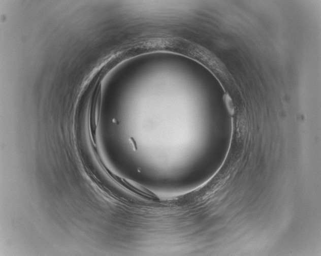 X0000073900722200608111129