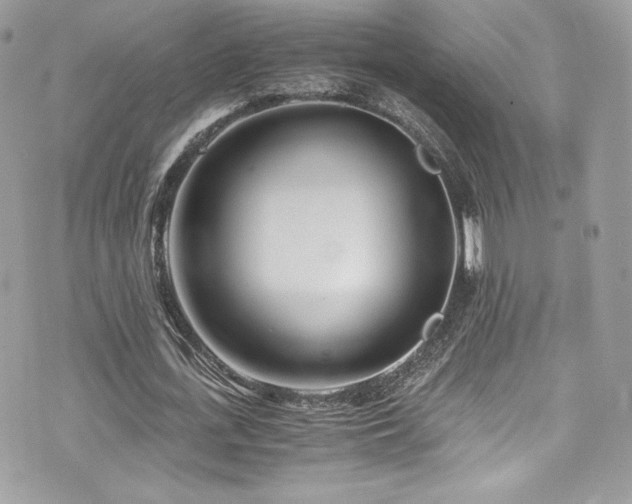 X0000073900723200608111129