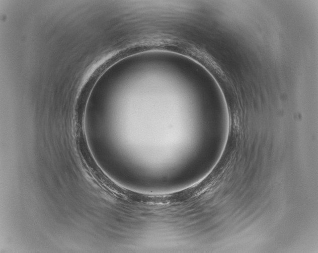 X0000073900724200608111129