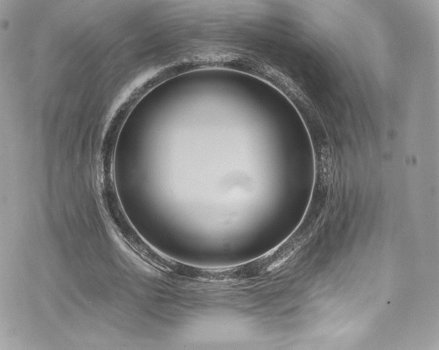 X0000073900726200608111129