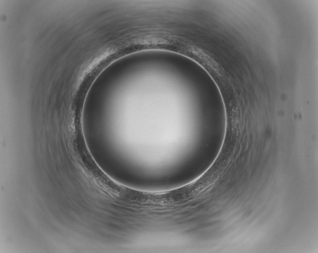 X0000073900727200608111129