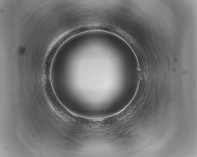 X0000073900728200608111129