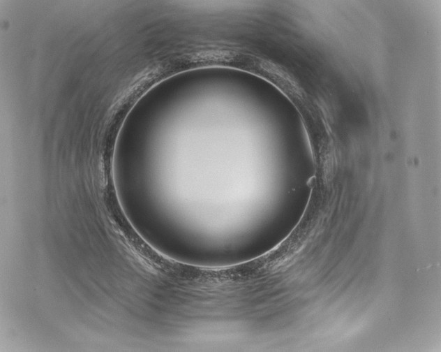 X0000073900729200608111129