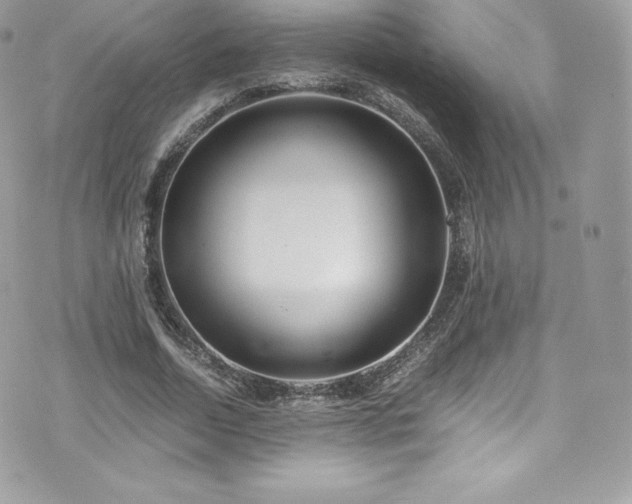 X0000073900730200608111129