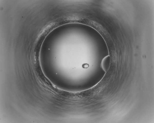 X0000073900731200608111129