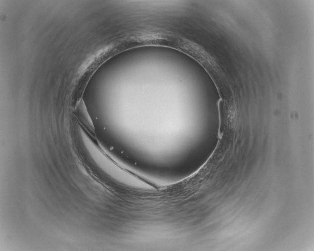 X0000073900732200608111129