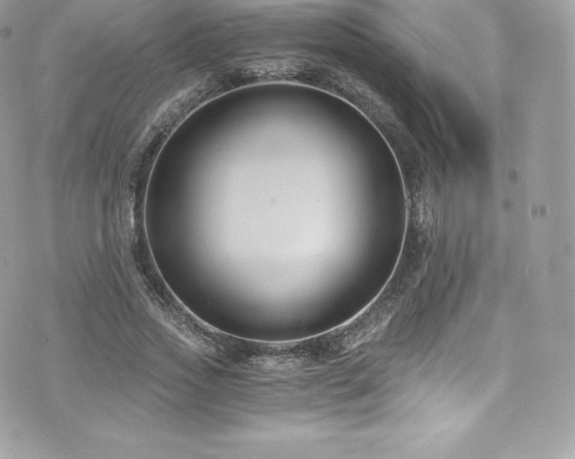 X0000073900733200608111129