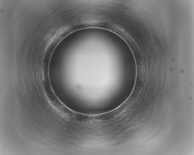 X0000073900734200608111129