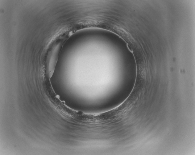 X0000073900735200608111129