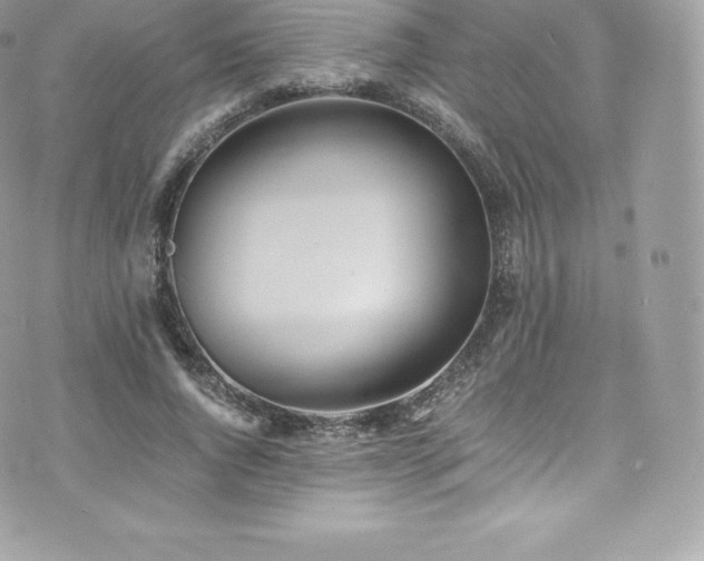 X0000073900736200608111129