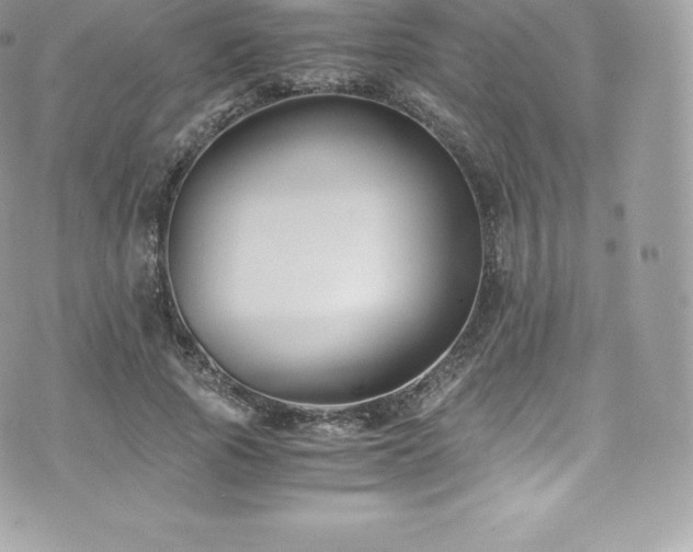 X0000073900737200608111129