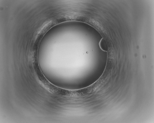 X0000073900738200608111129