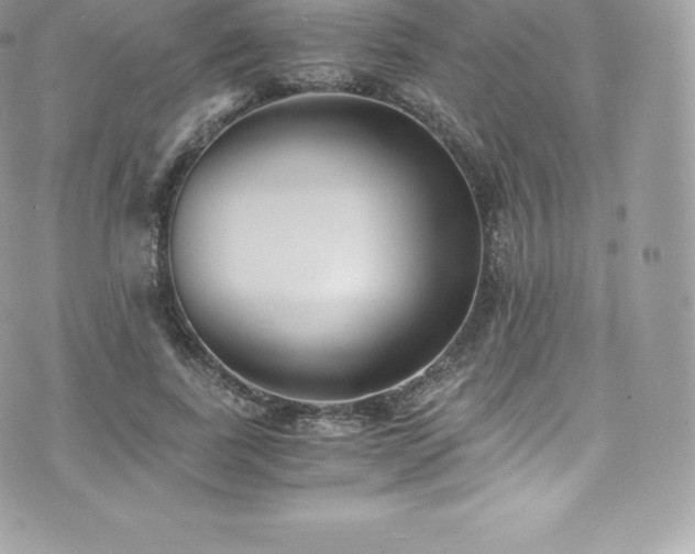 X0000073900739200608111129