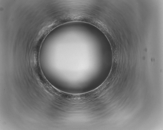 X0000073900740200608111129