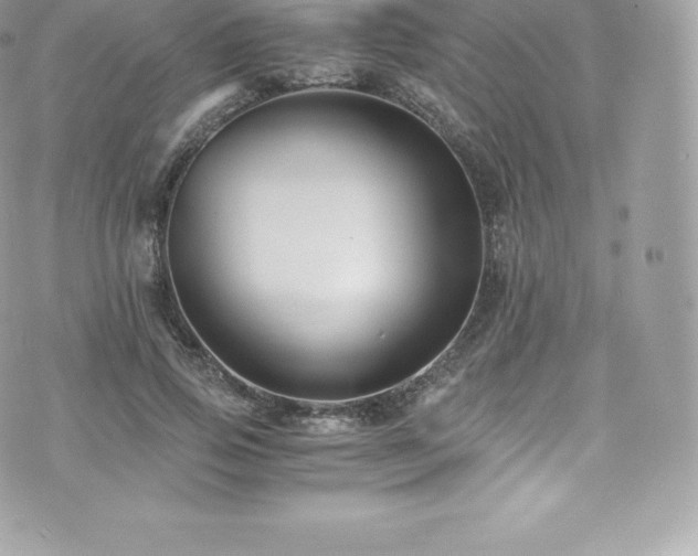 X0000073900741200608111129