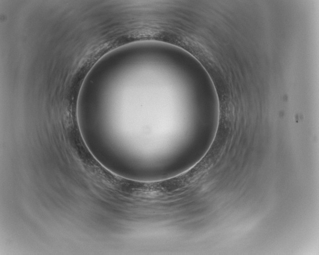 X0000073900743200608111130