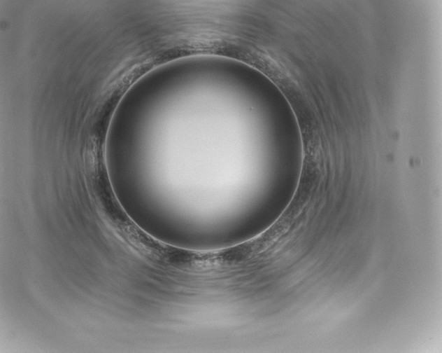 X0000073900744200608111130