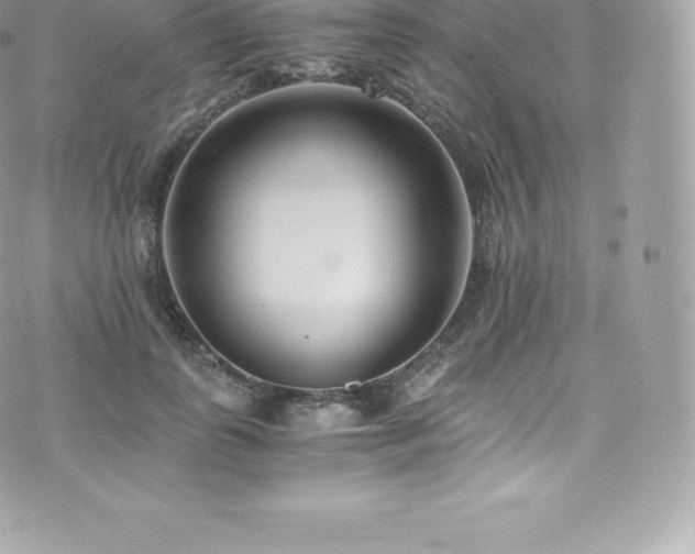 X0000073900747200608111130