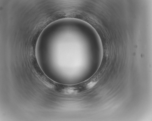 X0000073900748200608111130