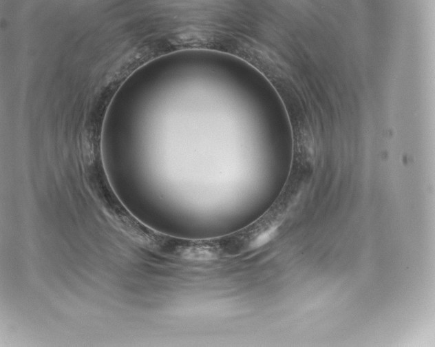 X0000073900751200608111130