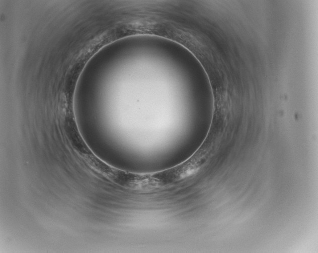 X0000073900752200608111130