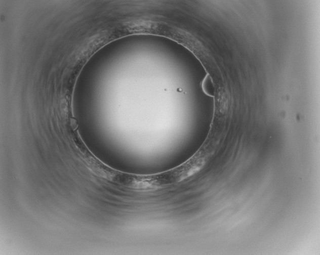 X0000073900753200608111130