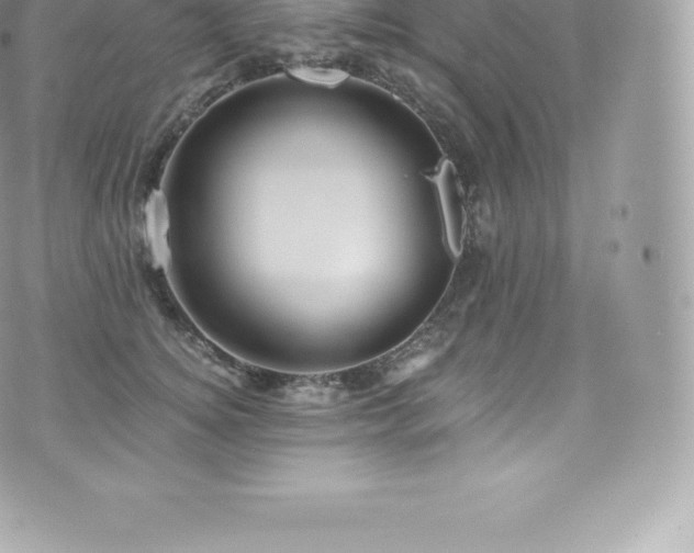 X0000073900756200608111130