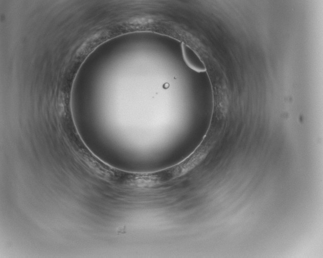 X0000073900758200608111130