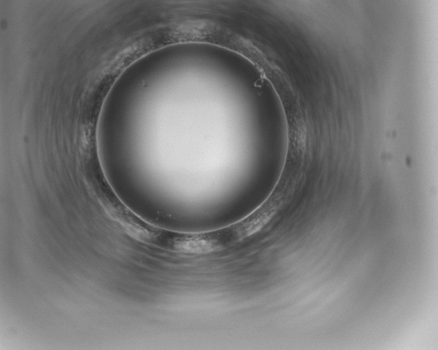 X0000073900759200608111130