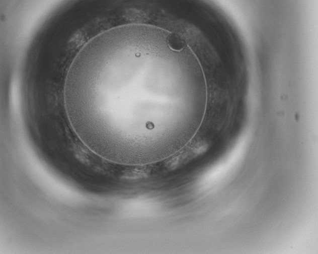 X0000073900765200608111130