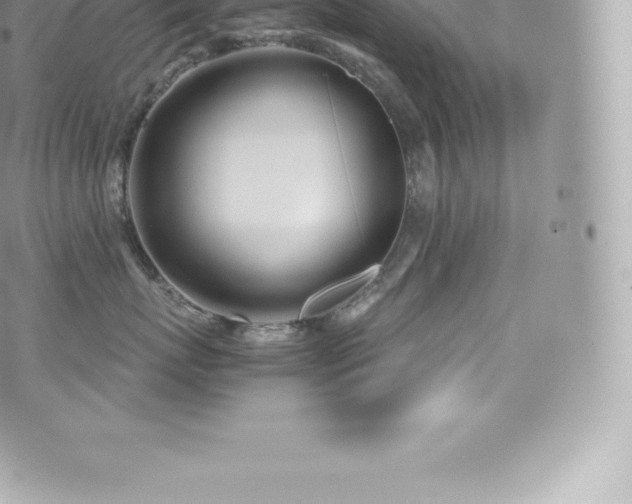 X0000073900767200608111130