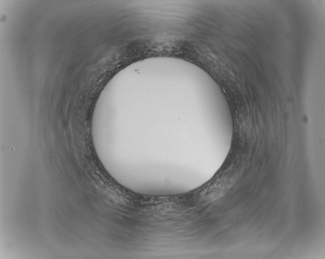 X0000073900769200608111129